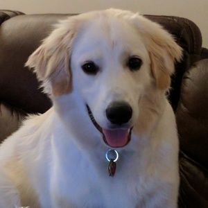 Meet your Posher, Cecily